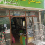 احسان الصالحي