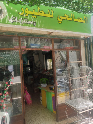 احسان الصالحي